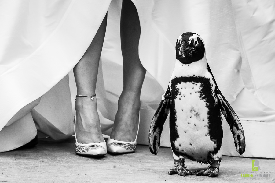 Turtle Back Zoo Wedding – Emily & Paul