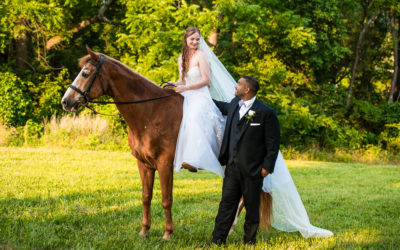 Pennsylvania Horse Farm Wedding