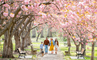 Everhart Park Cherry Blossom Session – Sara & Nate